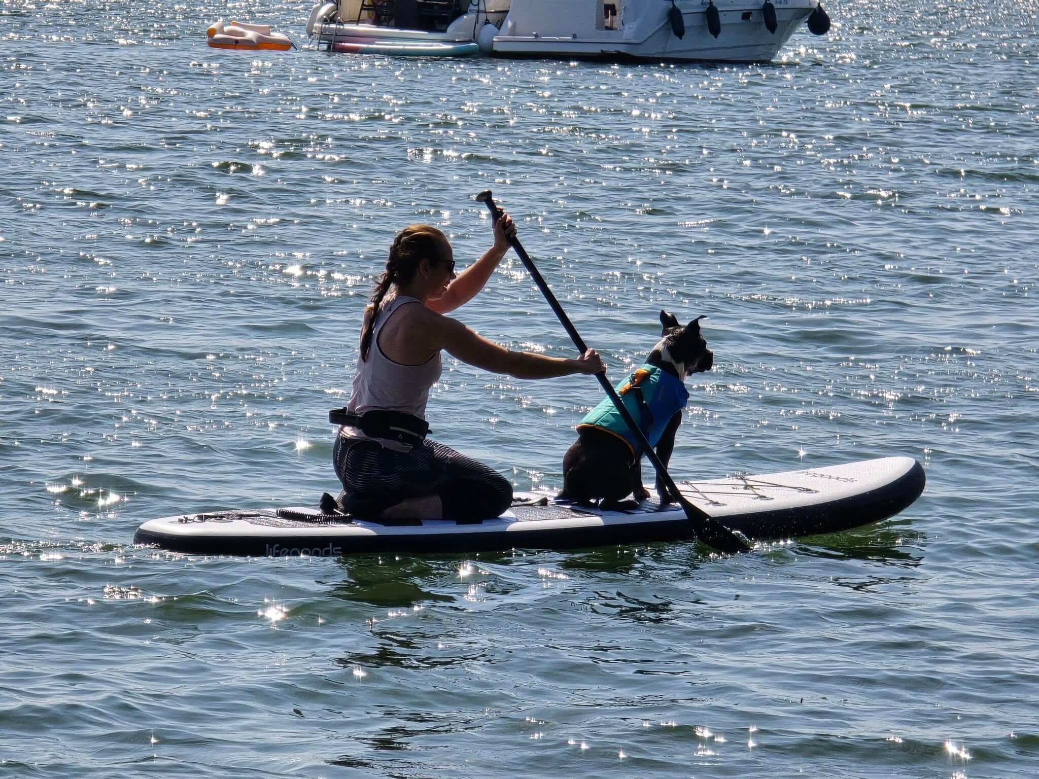 Suppen met je hond!